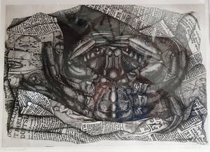 Henny van de Nieuwenhof - Krab kopen? Bied vanaf 400!