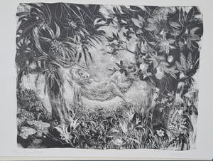 Jan Mensinga - De Schepping - 7 handgesigneerde litho's kopen? Bied vanaf 110!