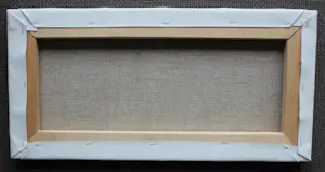 Dadara - Acryl op doek: Frog + ingelijste zeefdruk: Frog kopen? Bied vanaf 1299!