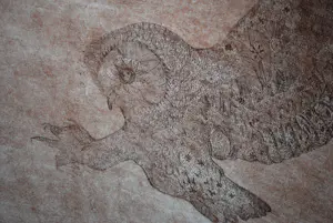 Paula Sluiter - Uil op muizenjacht - grote ets - oplage 50 kopen? Bied vanaf 125!