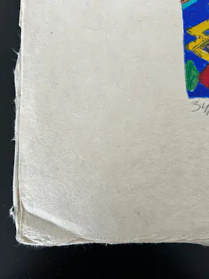 Gertie Janssen - Le plat pays I kopen? Bied vanaf 33!