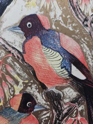 Leo Visser - Vogels en een muis. Kalenderblad. kopen? Bied vanaf 49!