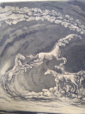 Giuseppe Guzzone - Kleurenets "Paardenhemelvaart" kopen? Bied vanaf 30!