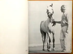 Marino Marini - Abrams NY 1960 - "Graphic Work and Paintings" - Plus 2 - Totaal 3 boeken kopen? Bied vanaf 65!