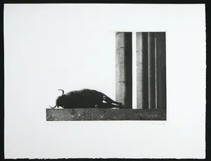 Rene Polak - Ets en aquatint, Zonder titel kopen? Bied vanaf 1!