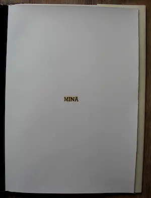 Jan van Munster - Boek met pyrogravures: S reeks - 1992 kopen? Bied vanaf 295!