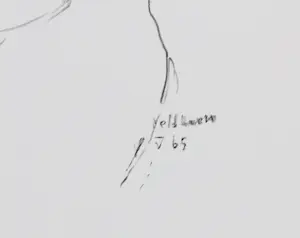 Aat Veldhoen - Lot van twee rotaprints kopen? Bied vanaf 1!