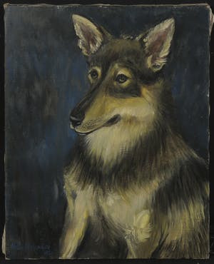 Bitia Rosendor - Olieverf op doek, Hondenportret, "Malinois" kopen? Bied vanaf 1!