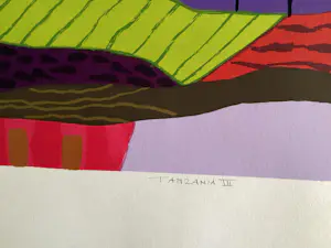 Ronald Boonacker - Tanzania 3 kopen? Bied vanaf 50!