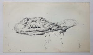 Melle Oldeboerrigter - lot van 2: litho en incomplete map (12 van de 14) reproducties kopen? Bied vanaf 65!