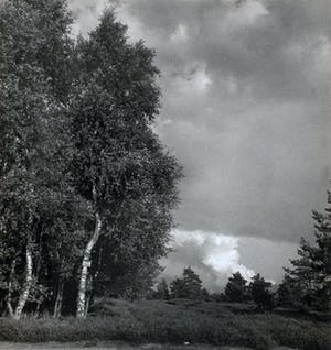 Cas Oorthuys - Op de Holterberg - originele foto op bariet-fotopapier kopen? Bied vanaf 50!