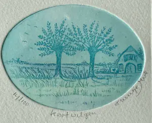 Truusje Mul - Knotwilgen kopen? Bied vanaf 25!