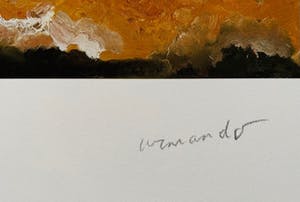 Armando - Das Buch kopen? Bied vanaf 140!