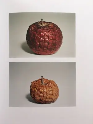 Marco Maggi - Global Myopia (pencil & paper) kopen? Bied vanaf 50!