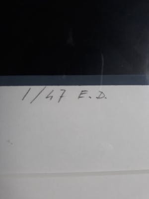 Hans Klaui - Zeefdruk uit 1992 kopen? Bied vanaf 600!