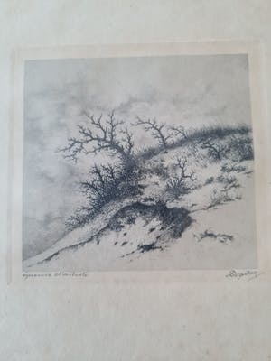 Dirk Harting - Duinlandschap - épreuve d’artiste kopen? Bied vanaf 25!