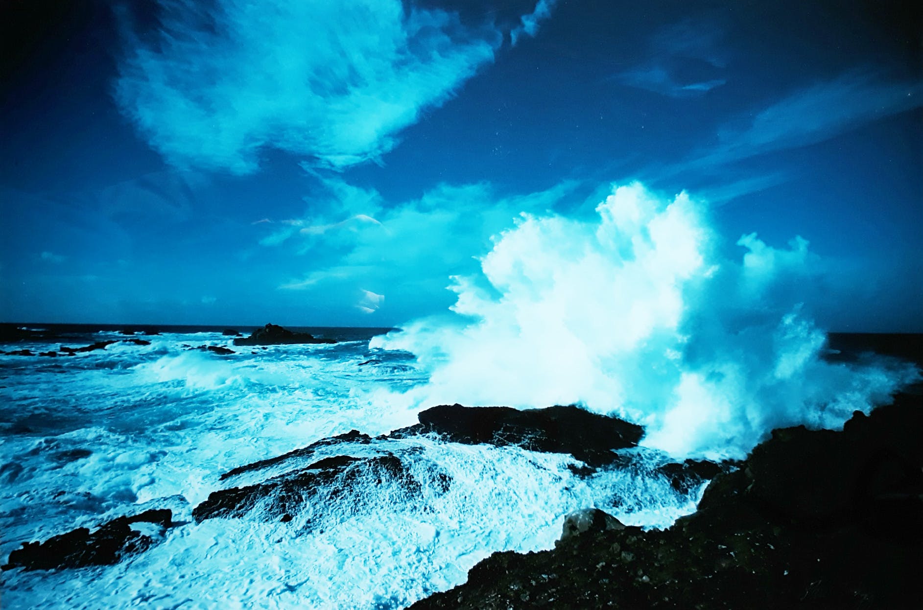 Paul Huf - Point Lobos, California, foto (ingelijst) kopen? Bied vanaf 250!