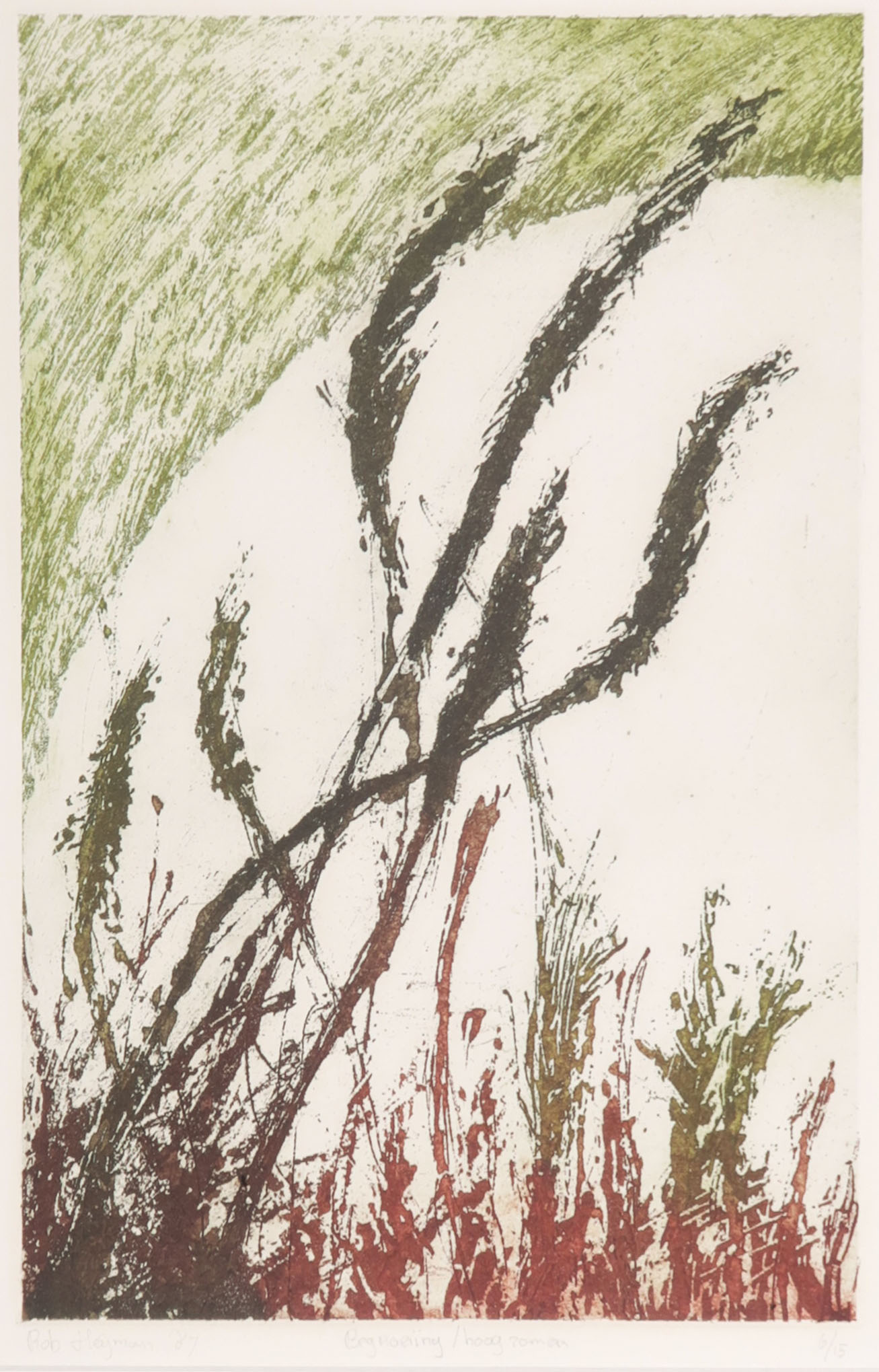 Rob Heijman - Kleurenets, Hoogzomer kopen? Bied vanaf 1!