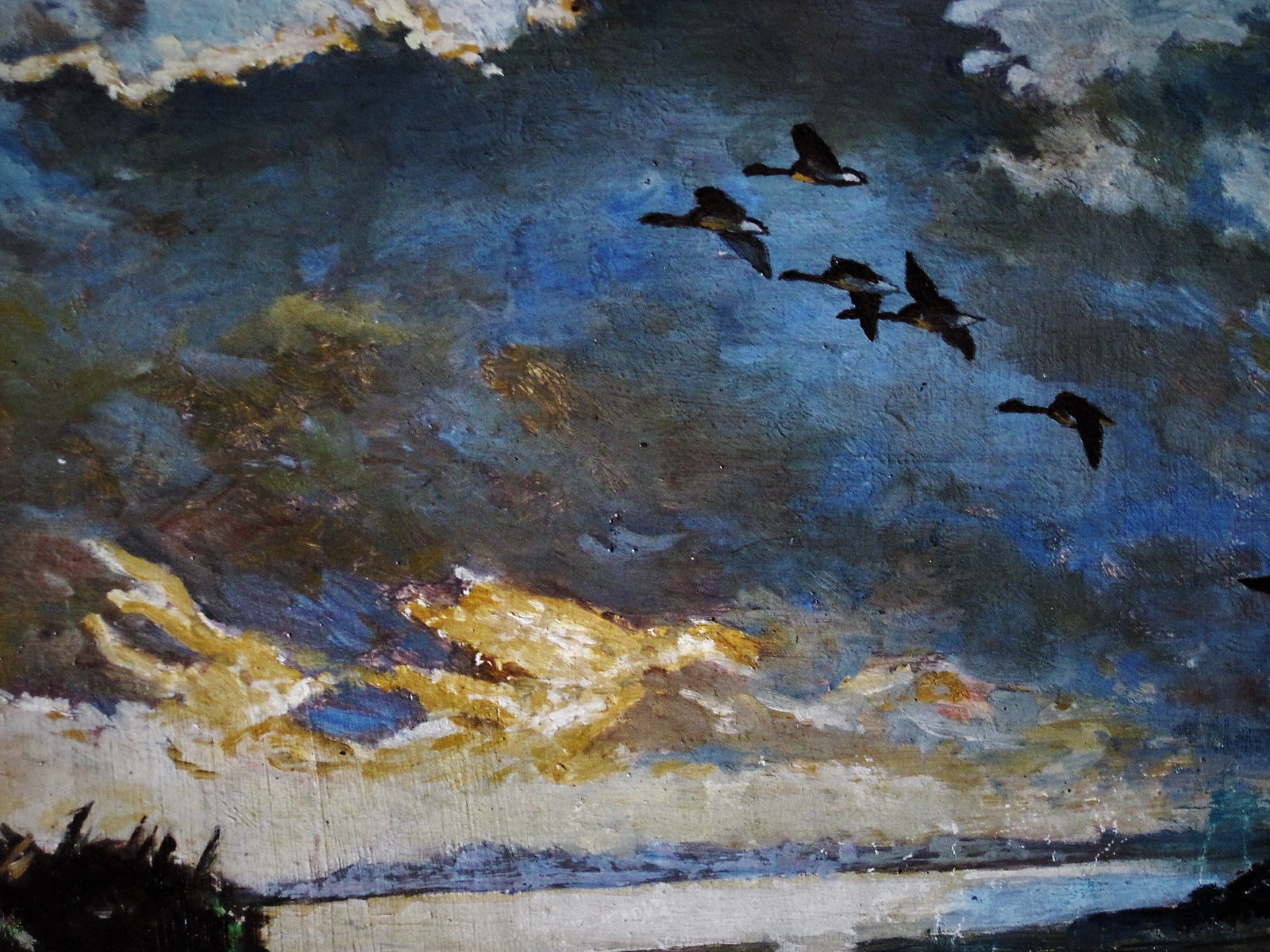 Jo Schrijnder - "opvliegende eenden bij invallende zomeravond" kopen? Bied vanaf 1!