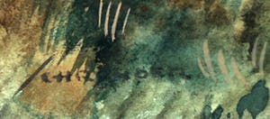 Jo Schrijnder - Aquarel, Landschap met twee eenden boven het riet - Ingelijst kopen? Bied vanaf 1!