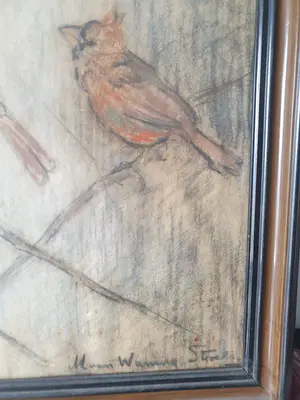 Marie van Waning-Stevels - Vogels kopen? Bied vanaf 200!