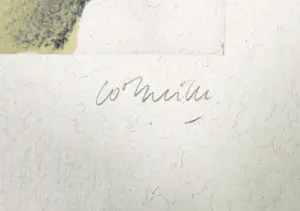 Corneille - Zeefdruk, "Naakt op muziekpapier" kopen? Bied vanaf 1!