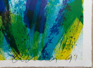 Jan Cremer - Tulpen, litho kopen? Bied vanaf 150!