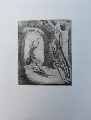 Jeanne Bieruma Oosting - 12 etsen in boek "fabels van la fontaine" (gesigneerd) kopen? Bied vanaf 495!