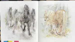 Piet Klaasse - Paarden, proefdrukken offsetlitho, 2-zijdig bedrukt, gesigneerd in druk kopen? Bied vanaf 25!