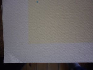 Peter Klashorst - Zeefdruk, Titel, Nema. kopen? Bied vanaf 50!