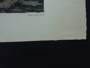 Frederika Broeksmit - SCHELPENVISSER kopen? Bied vanaf 30!