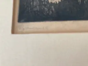 Johan Christiaan Jacobus van Schagen - Rood met zwart kopen? Bied vanaf 30!