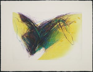 Carmi Butteling - Hans Vredegoor, Lot van twee stuks grafiek kopen? Bied vanaf 1!