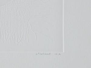 Gerard van Rooy - Spitsmuisjes - Ets met reliëfdruk kopen? Bied vanaf 65!