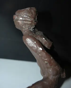 Auke Hettema - Elfstedenrijder Reinier Paping kopen? Bied vanaf 125!