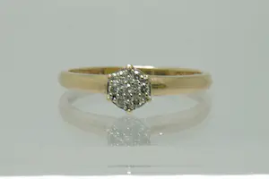 50- Klassieke 14 Krt geel-gouden rozet ring met 6 briljanten (0.10ct) diamant kopen? Bied vanaf 80!