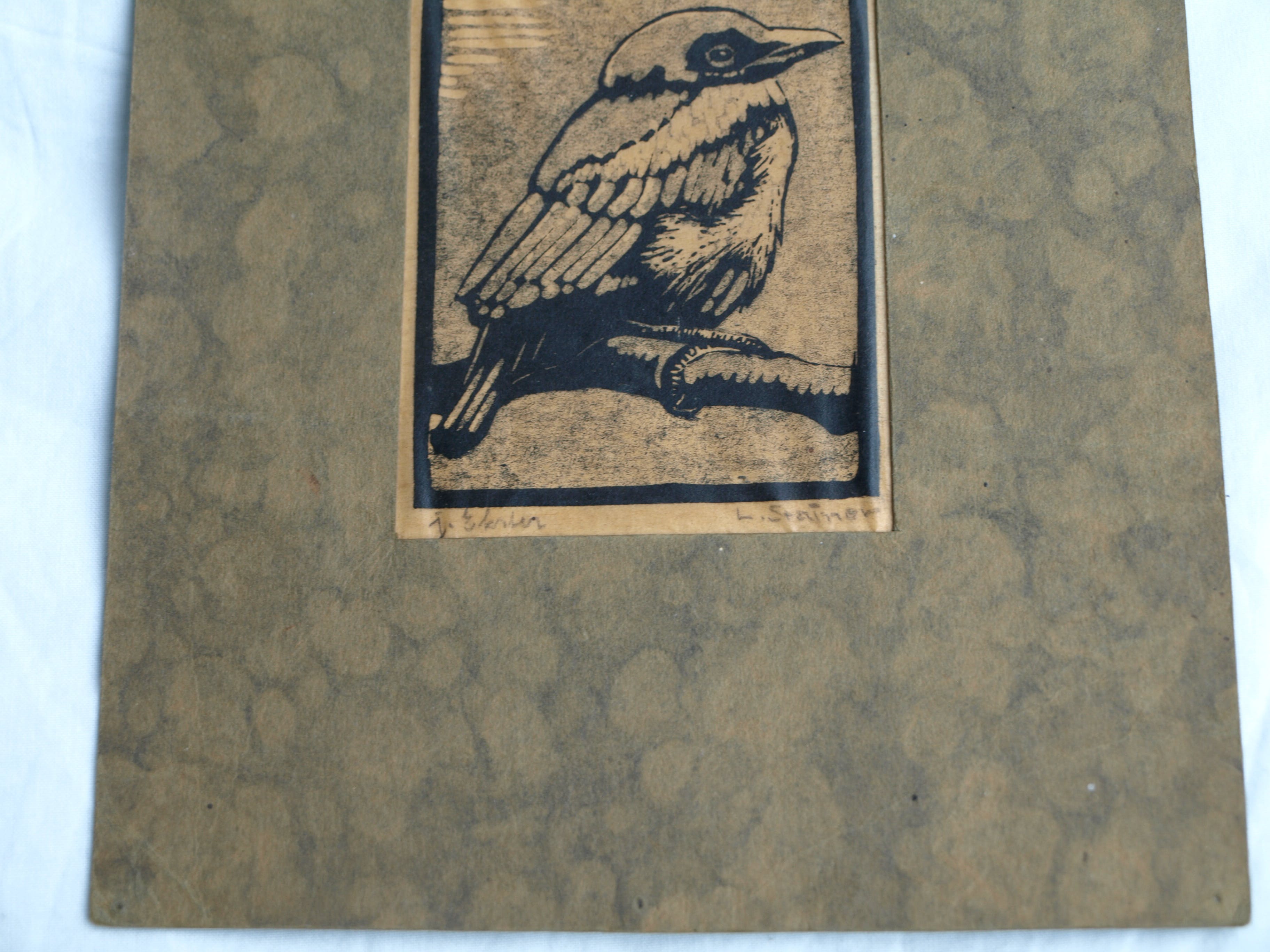 Ludwig Stainer - Ets , Jonge ekster – Gesigneerd – ca 1935 kopen? Bied vanaf 1!