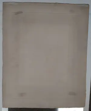 Kuno Brinks - Paarden in de stal kopen? Bied vanaf 90!