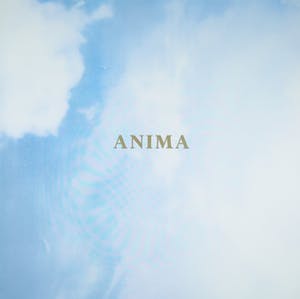 Niet of onleesbaar gesigneerd - Lot van twee zeefdrukken, Anima en Pace kopen? Bied vanaf 1!