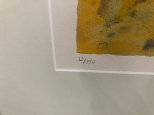 Willem van Scheijndel - Californië kopen? Bied vanaf 100!