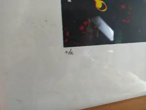 Herman Brood - Five indians (zeer groot) kopen? Bied vanaf 695!