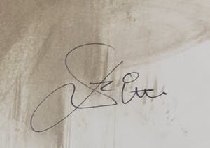 Franscz Witte - Gemengde techniek op papier, Z.T. Naakt kopen? Bied vanaf 10!