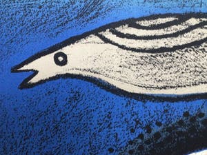 Corneille - l'oiseau noir à tête rouge - e.a. exemplaar kopen? Bied vanaf 175!