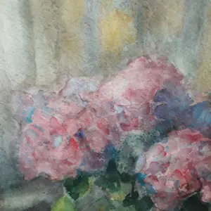 Piet Brandjes - Hortensia bij venster kopen? Bied vanaf 1!