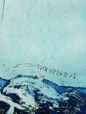Jan Montyn - Dolfijnen, aquatint ets kopen? Bied vanaf 1!