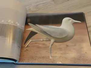 Mark Dedrie - Art in nature - Bronze sculptures - gesigneerd kopen? Bied vanaf 20!