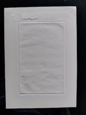 Ru van Rossem - Salammbo kopen? Bied vanaf 45!