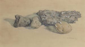 Willempje Noordam - Potlood en gouache, Stilleven met aardappels - Ingelijst kopen? Bied vanaf 1!