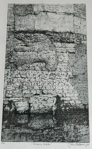 Rins Heidema - Leven in water kopen? Bied vanaf 30!