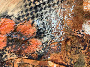 Dario Bosa - Flowers I en II (2 luik) kopen? Bied vanaf 125!